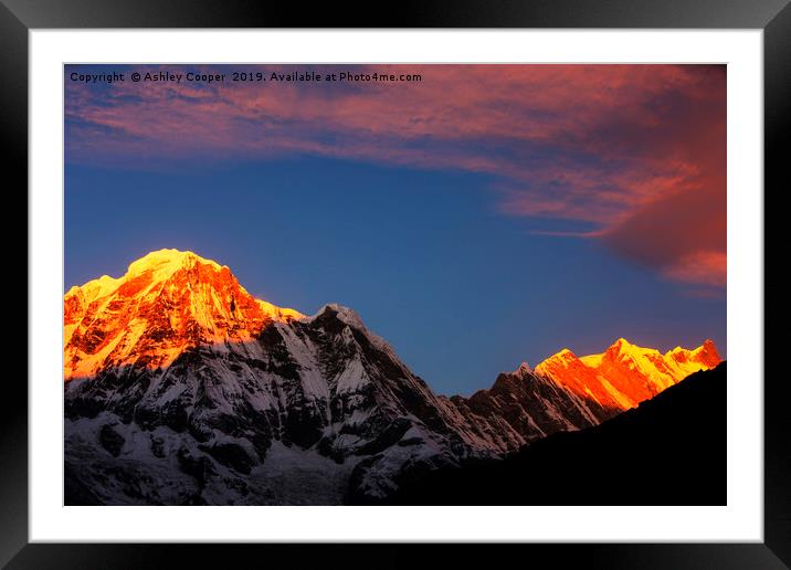 Annapurna Framed Mounted Print by Ashley Cooper
