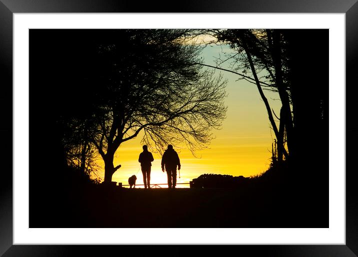 Walking the dog. Framed Mounted Print by Ashley Cooper