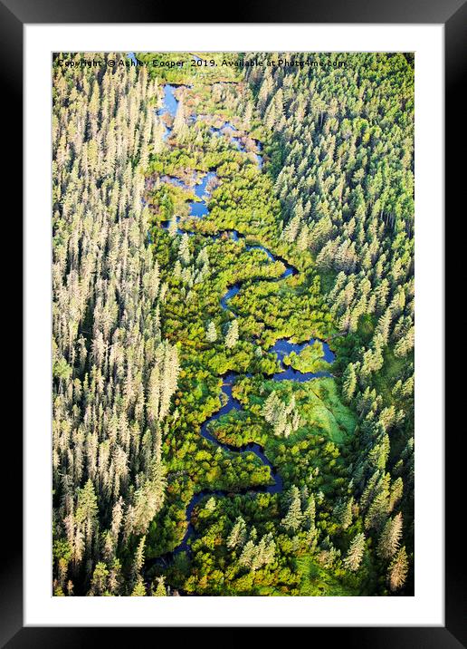 Boreal Forest. Framed Mounted Print by Ashley Cooper