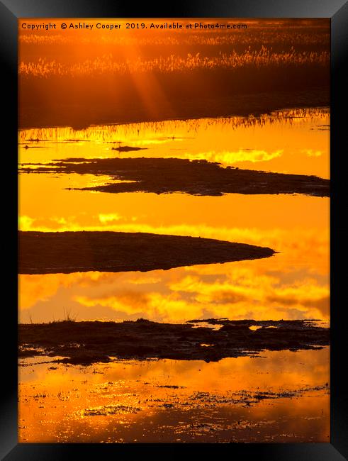 Norfolk sunrise. Framed Print by Ashley Cooper