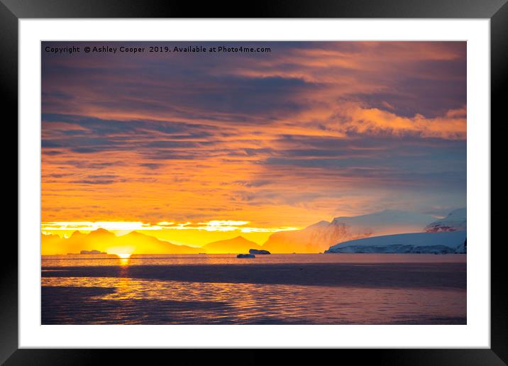Polar glow. Framed Mounted Print by Ashley Cooper