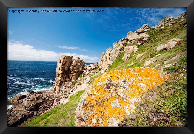Cornish lichen. Framed Print by Ashley Cooper