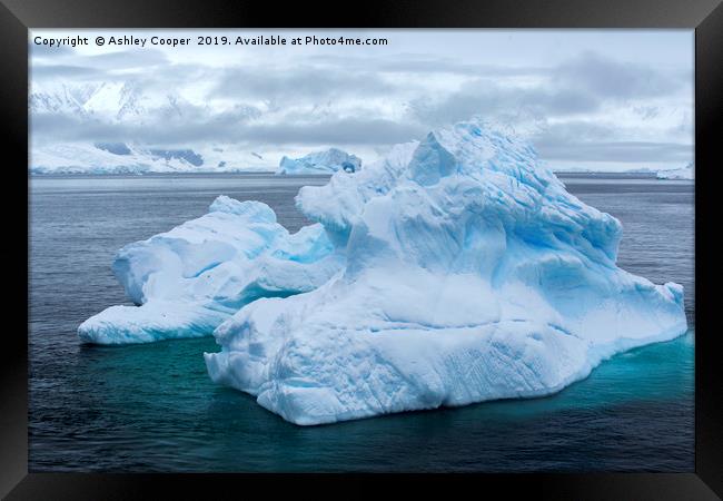 Antarctic blue berg. Framed Print by Ashley Cooper