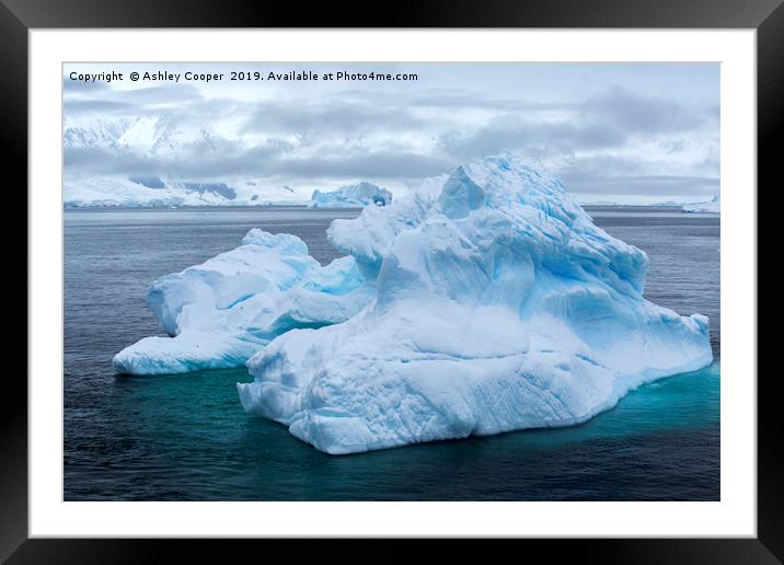 Antarctic blue berg. Framed Mounted Print by Ashley Cooper