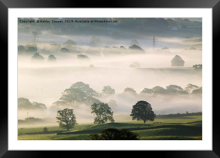 Misty morn. Framed Mounted Print by Ashley Cooper