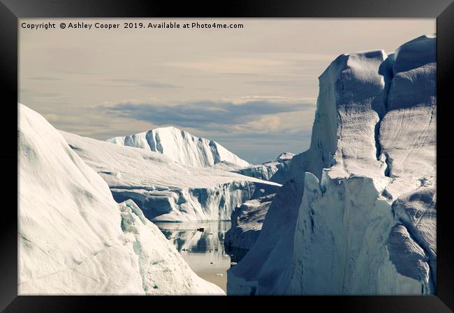 Illulisat icebergs. Framed Print by Ashley Cooper