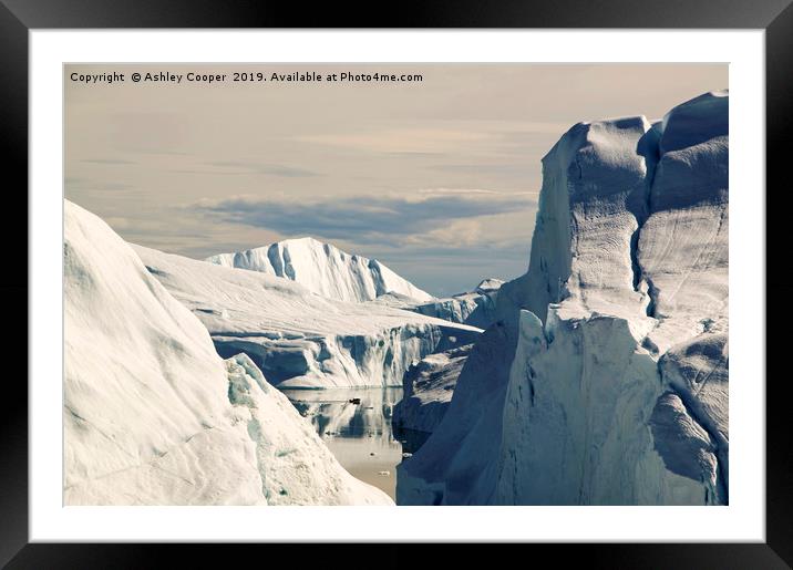 Illulisat icebergs. Framed Mounted Print by Ashley Cooper