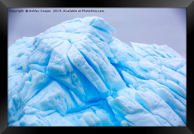 The blue. Framed Print by Ashley Cooper