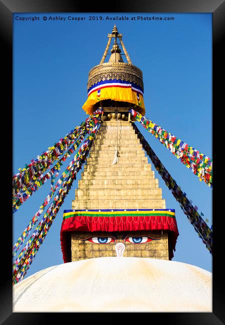 Nepal Stupa. Framed Print by Ashley Cooper