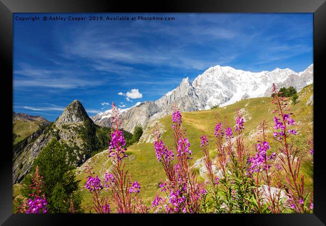 Italian Alps. Framed Print by Ashley Cooper
