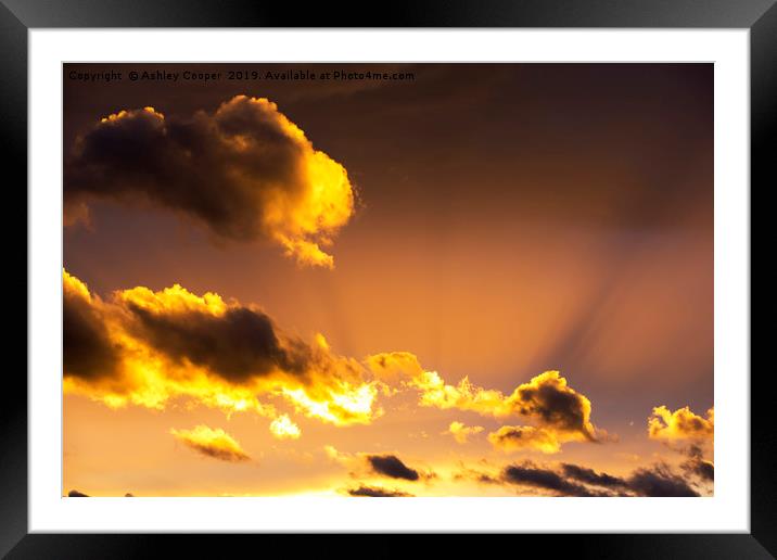 Evening glory. Framed Mounted Print by Ashley Cooper