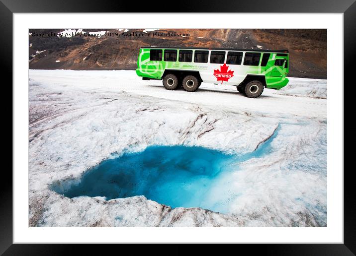 Athabasca glacier. Framed Mounted Print by Ashley Cooper