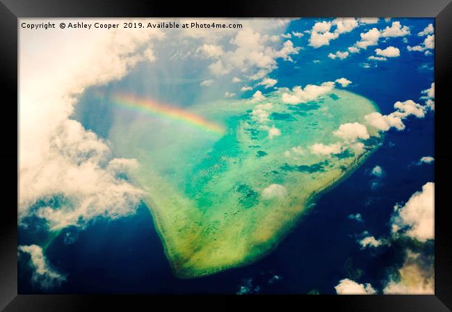 Reef rainbow. Framed Print by Ashley Cooper