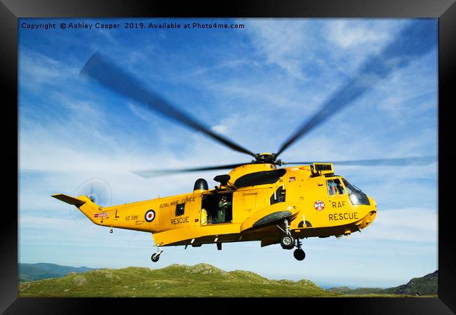RAF helicopter landing. Framed Print by Ashley Cooper