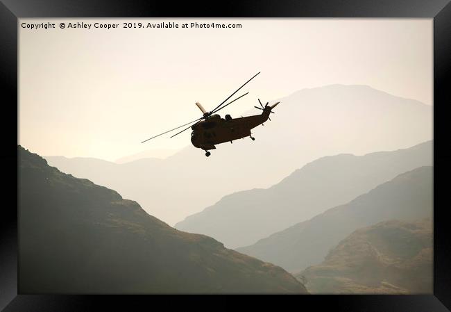 RAF sea king helicopter Framed Print by Ashley Cooper