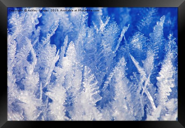 Ice crystals. Framed Print by Ashley Cooper