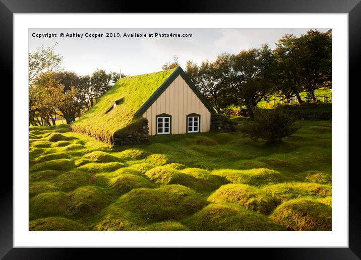 Green roofed church. Framed Mounted Print by Ashley Cooper