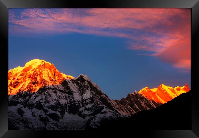 Alpenglow Himalayas Framed Print by Ashley Cooper