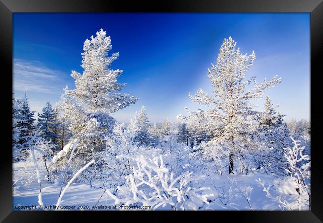 Finland winter Framed Print by Ashley Cooper
