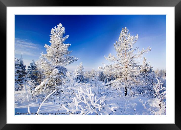 Finland winter Framed Mounted Print by Ashley Cooper