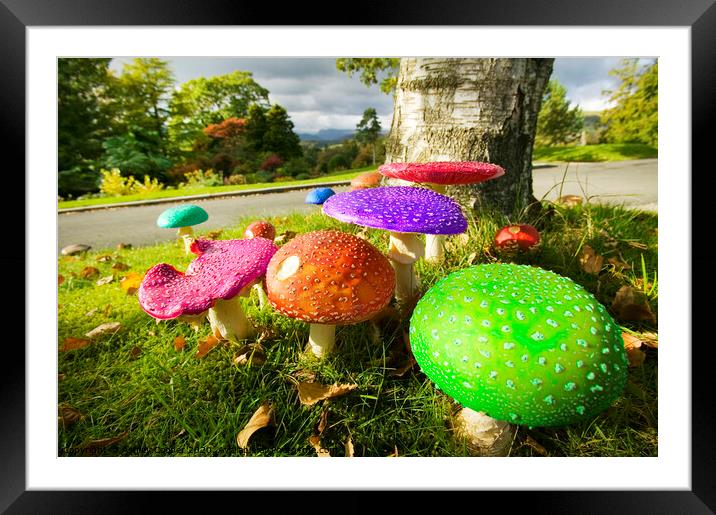 Funky funghi Framed Mounted Print by Ashley Cooper
