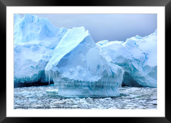 Icicle berg. Framed Mounted Print by Ashley Cooper