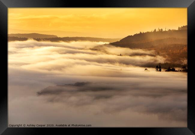 The glow. Framed Print by Ashley Cooper