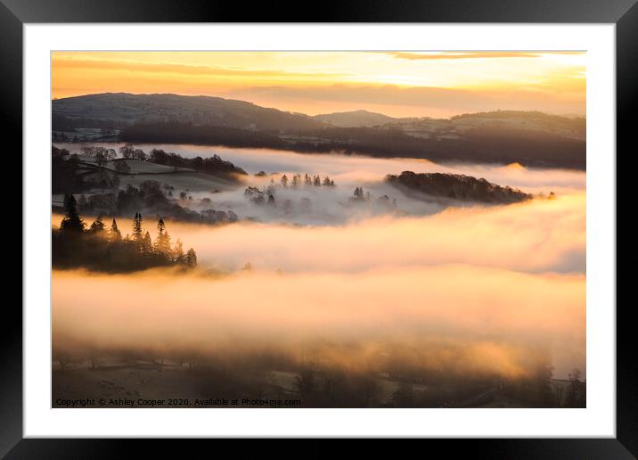 Misty glow. Framed Mounted Print by Ashley Cooper