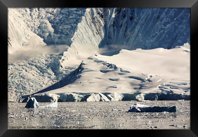 The glacier. Framed Print by Ashley Cooper