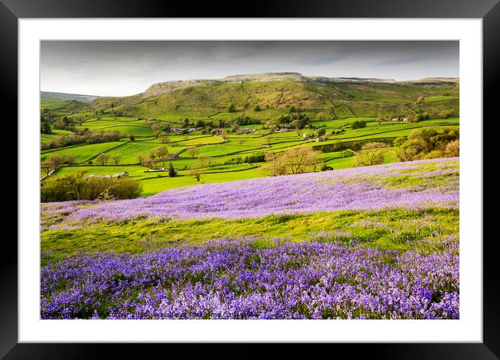 Austwick Spring. Framed Mounted Print by Ashley Cooper