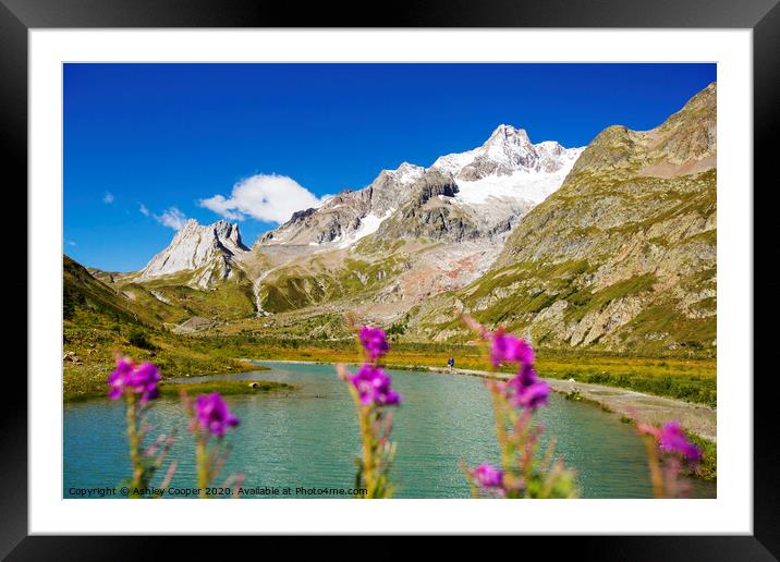 Alps. Framed Mounted Print by Ashley Cooper