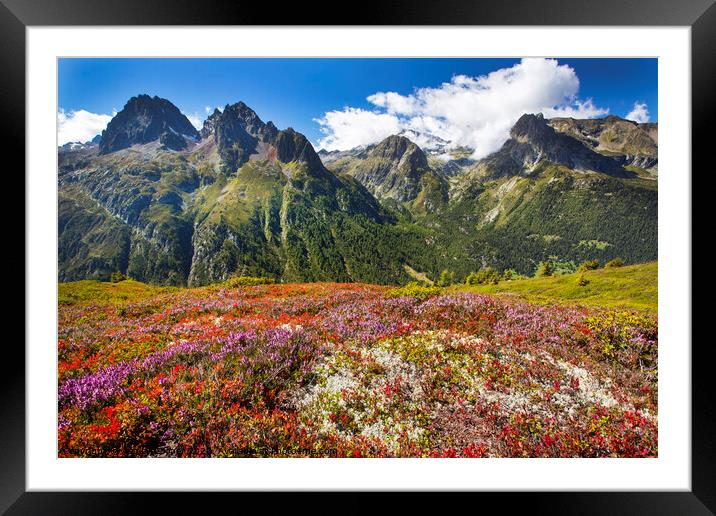 Autumn moorland. Framed Mounted Print by Ashley Cooper