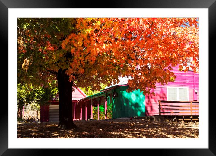 Pink house Framed Mounted Print by Ashley Cooper