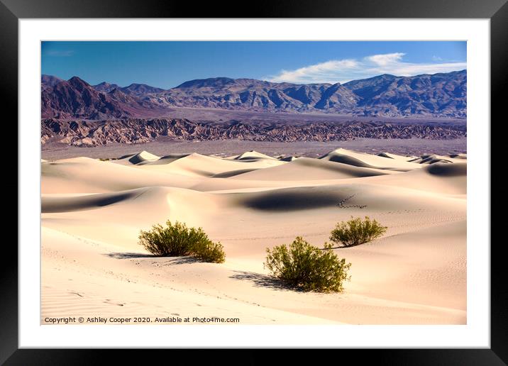 Dunescape Framed Mounted Print by Ashley Cooper