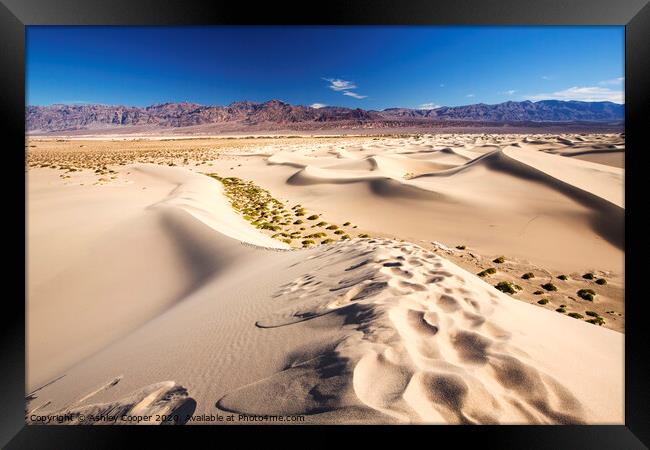 Footsteps Framed Print by Ashley Cooper