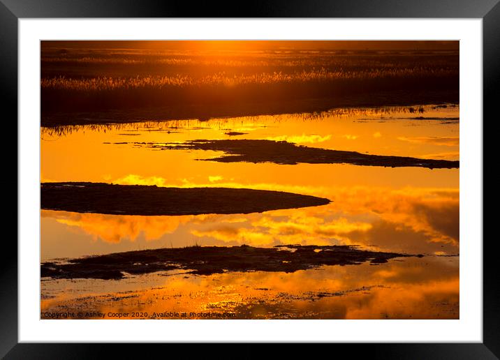 Marsh Framed Mounted Print by Ashley Cooper