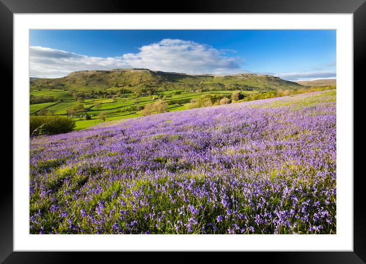 Outdoor field Framed Mounted Print by Ashley Cooper