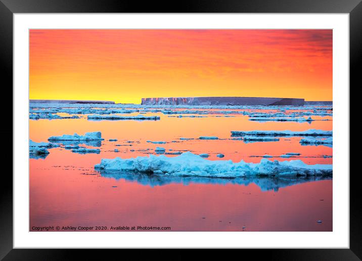 Antarctic sunset tabular. Framed Mounted Print by Ashley Cooper