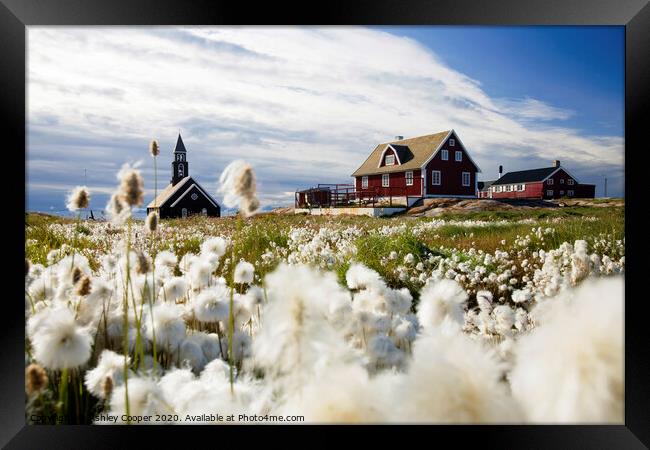 Cottongrass church Framed Print by Ashley Cooper