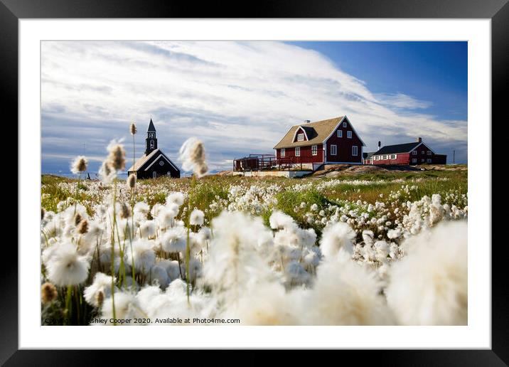 Cottongrass church Framed Mounted Print by Ashley Cooper