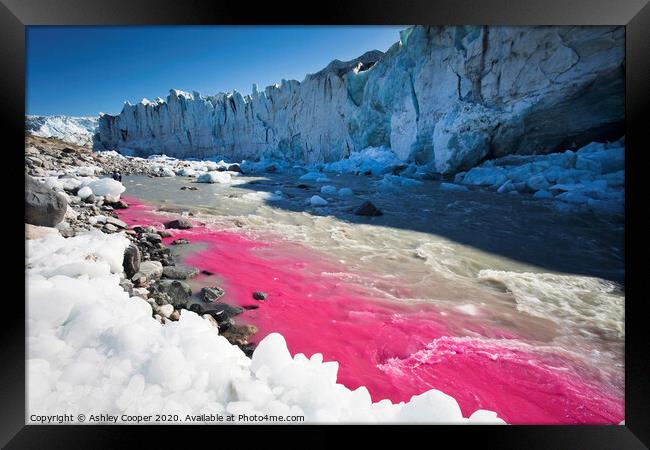 Pink glacier. Framed Print by Ashley Cooper