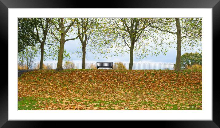 Solitary bench in an autumnal park  Framed Mounted Print by Peter Smith