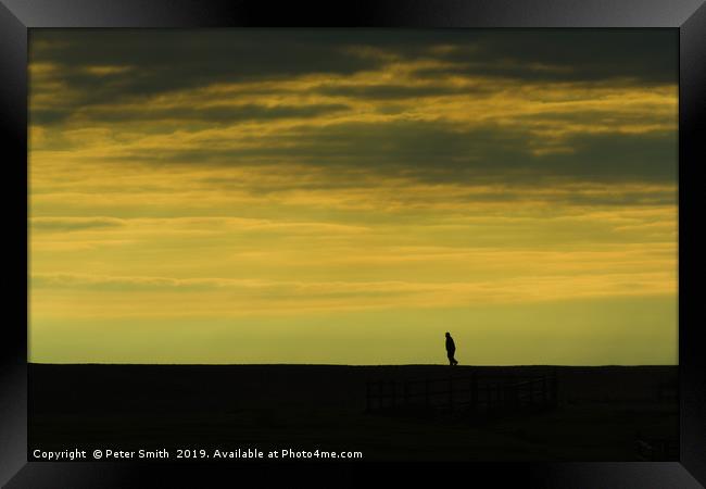 Contemplation Framed Print by Peter Smith