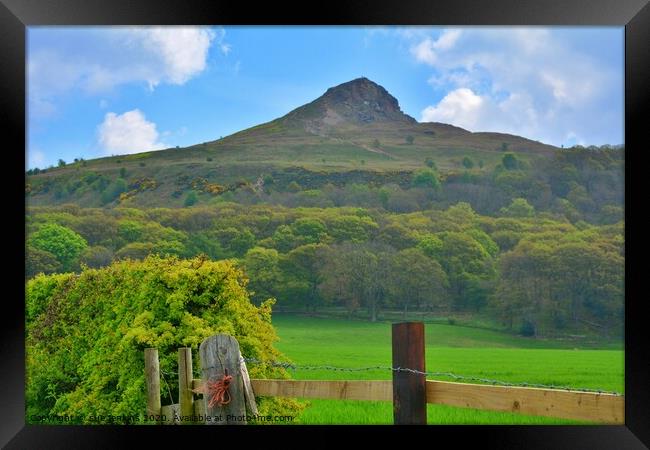 Though The Gate to the Topping Framed Print by sue jenkins