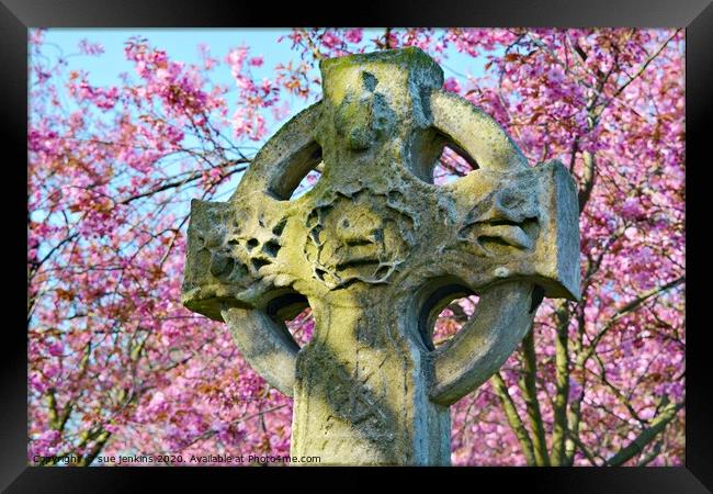 blossom Grave, Ryhope Sunderland Framed Print by sue jenkins