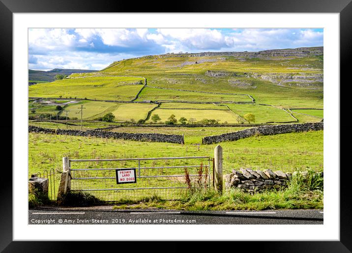 Yorkshire Greens Framed Mounted Print by Amy Irwin-Steens