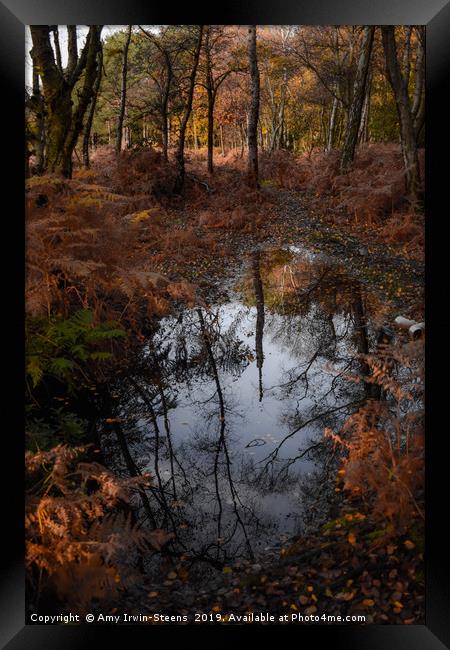 Beauty of Nature Framed Print by Amy Irwin-Steens