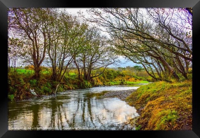 Autumn Reflection Framed Print by Amy Irwin-Steens