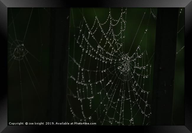 spider web Framed Print by zoe knight