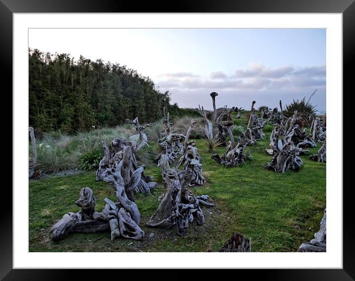 Driftwood sculptures Framed Mounted Print by Martin Smith